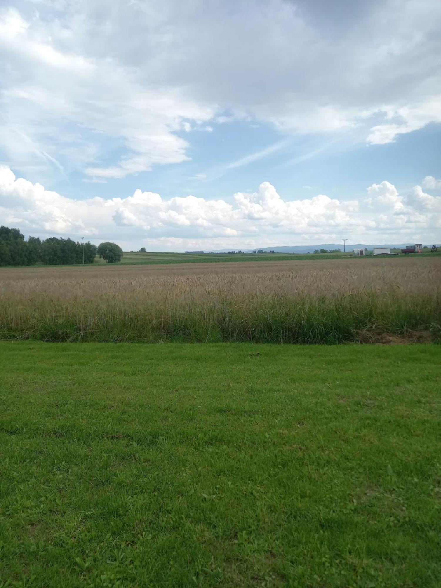 Pokoje Na Kanadzie Zator Exterior foto